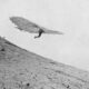 Otto Lilienthal avec ses ailes volantes - vignette-quiz-aviation