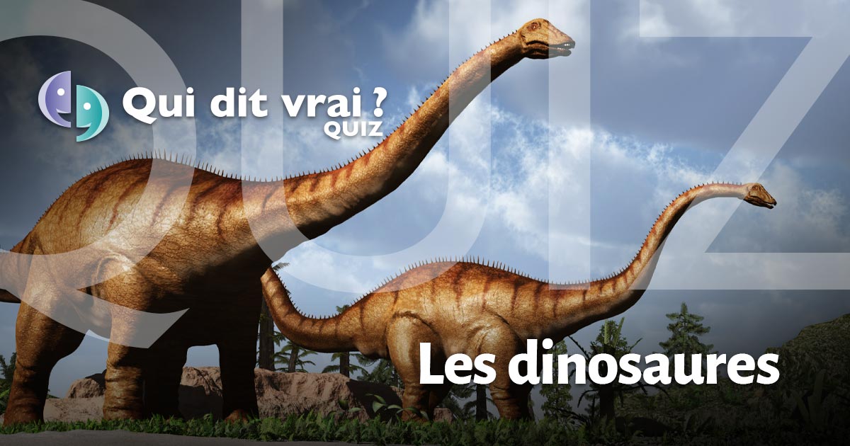 10 questions sur les dinosaures: le vrai ou faux du JDE - Le JDE