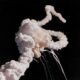 L'explosion de la navette Challenger en 1987